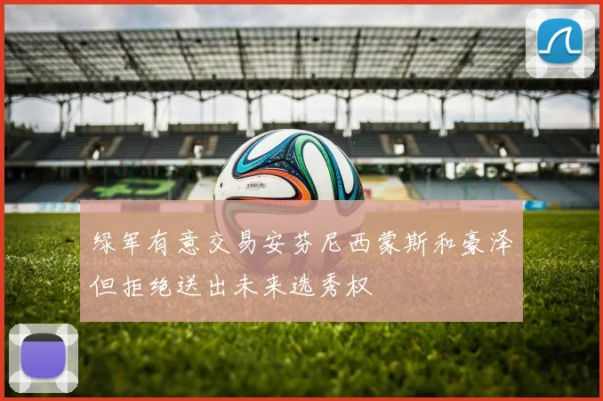绿军有意交易安芬尼西蒙斯和豪泽但拒绝送出未来选秀权
