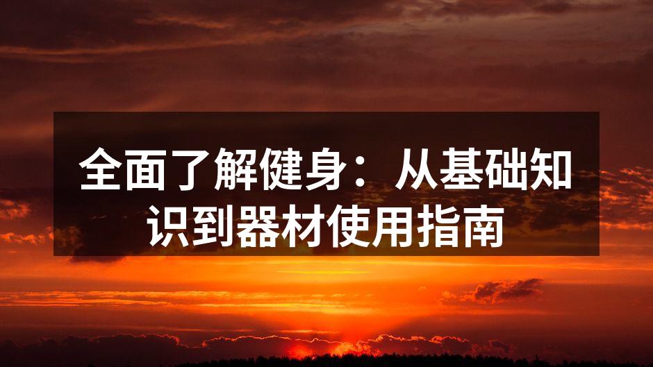 多样化的健身器材选择