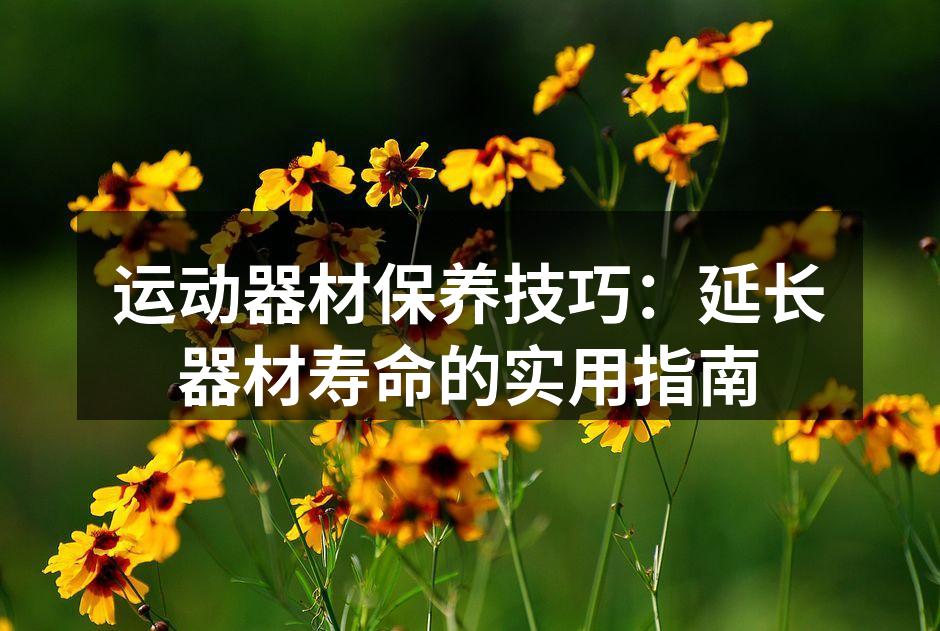 定期清洁跑步机，延长使用寿命